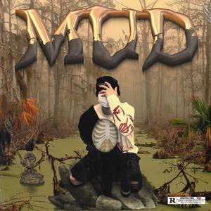 a一级特黄久久精品高清日本大片
